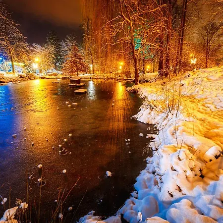 シャレー Tiny House Jested *