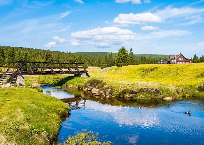 Tiny House Jested Domek alpejski *