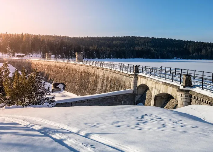 Domek alpejski Tiny House Jested