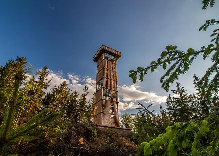 Domek alpejski Tiny House Jested *